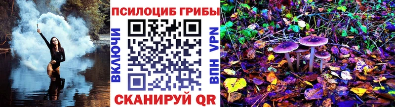 Галлюциногенные грибы мухоморы  Новосиль 